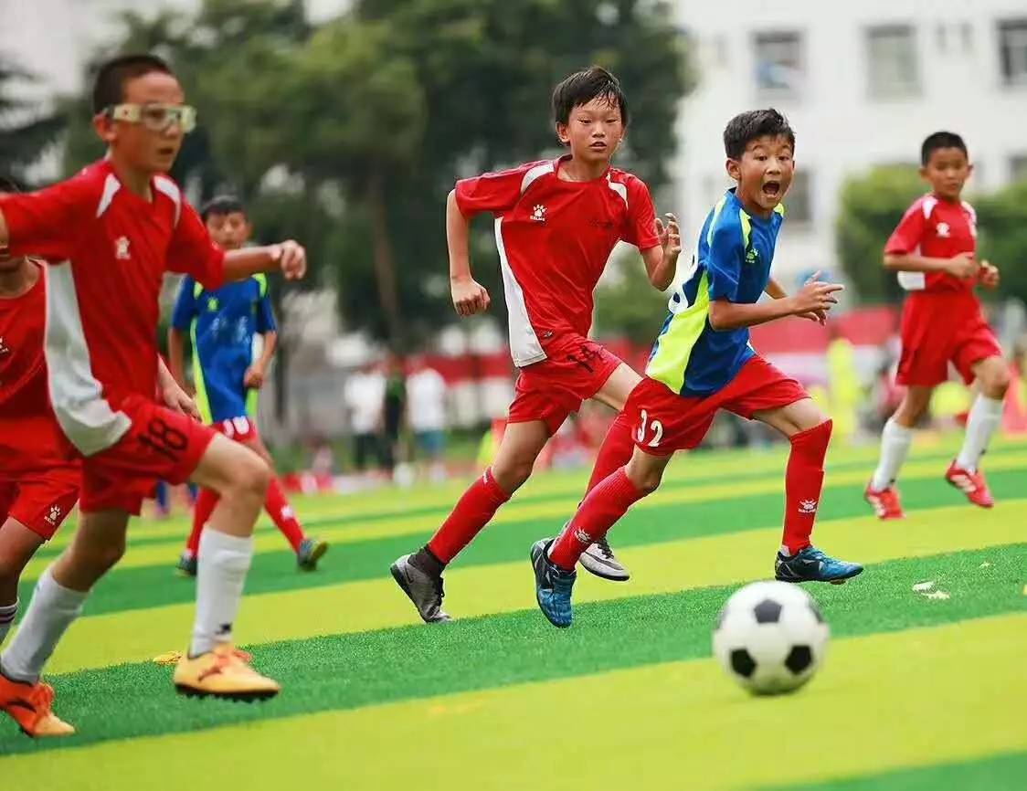 美洲杯：阿根廷1-0胜巴西夺冠 梅西圆梦